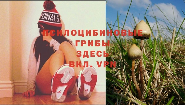 mix Алексин