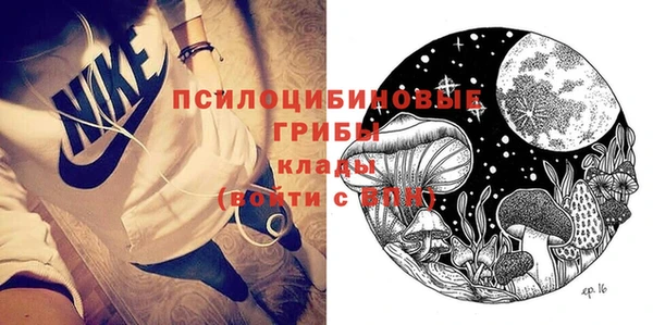 твердый Алексеевка