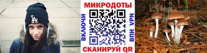 Галлюциногенные грибы MAGIC MUSHROOMS  даркнет формула  Микунь 